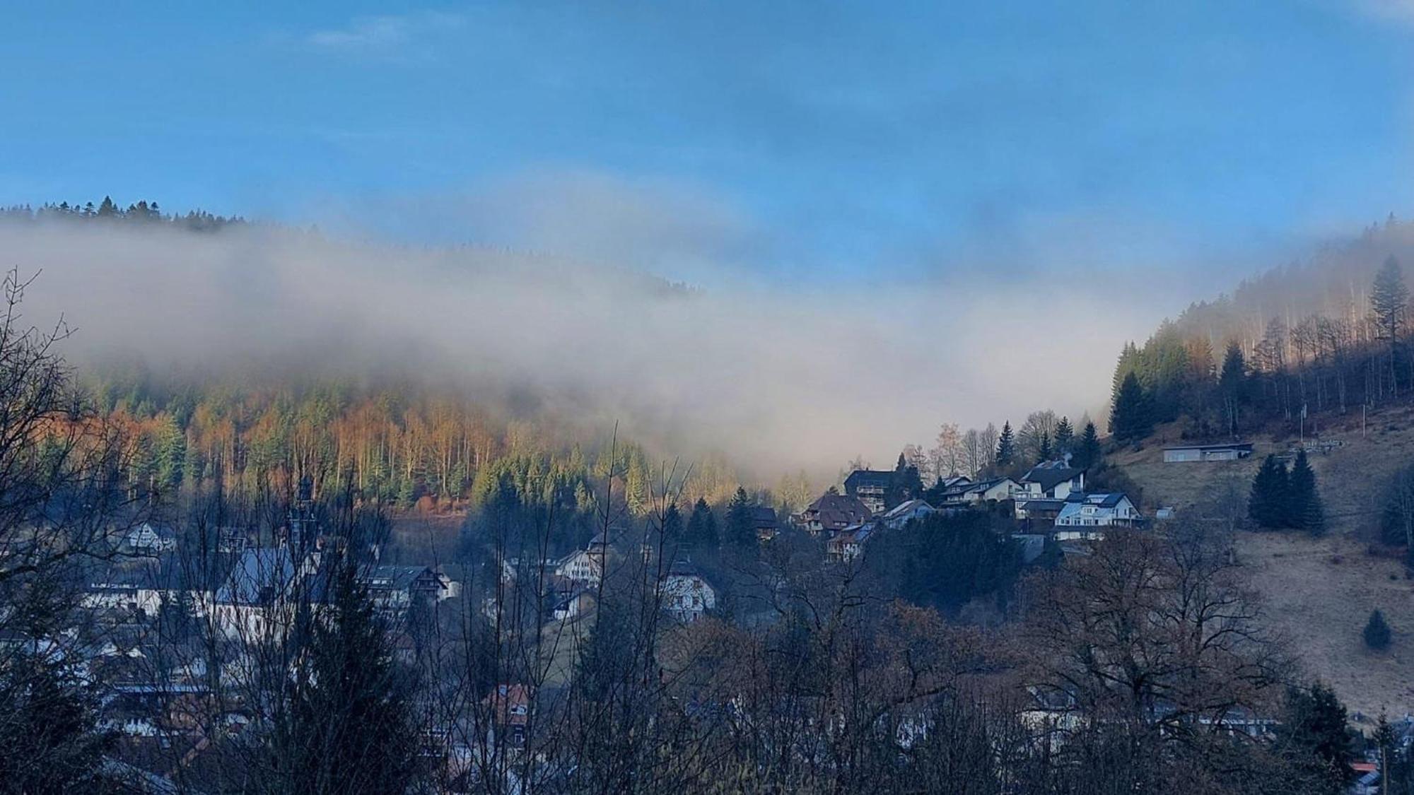 Haus-Herzogenhorn-Sunrise تودموس المظهر الخارجي الصورة